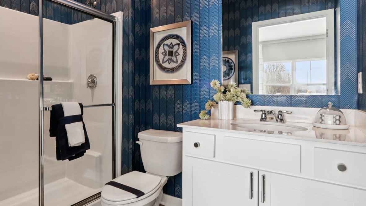guest bathroom with walk-in shower