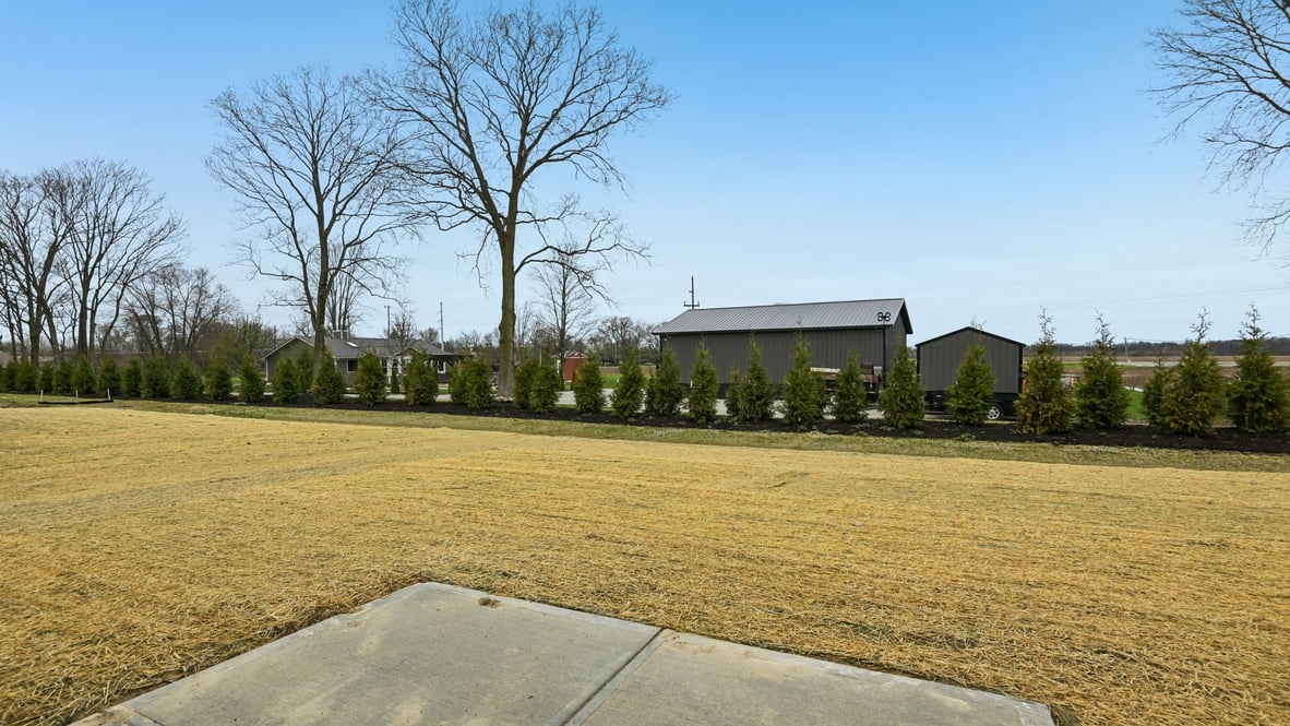backyard view from the home