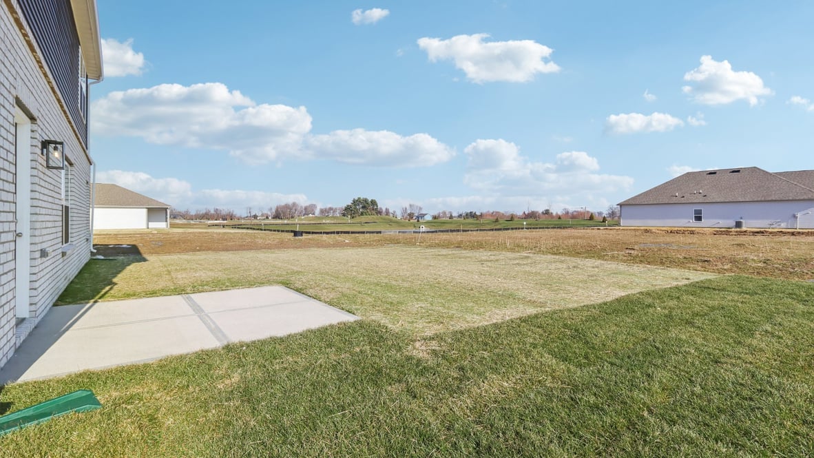 view from the back yard