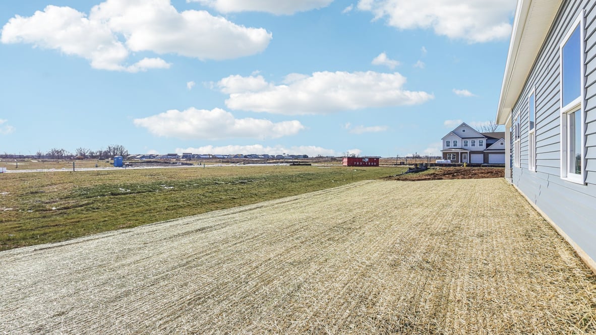 view from the back of trees and greenery
