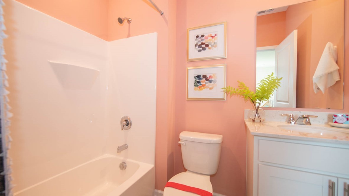 guest bathroom with shower and tub combo