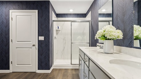 primary bathroom with walk-in shower