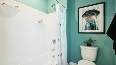bathroom with shower and tub combo