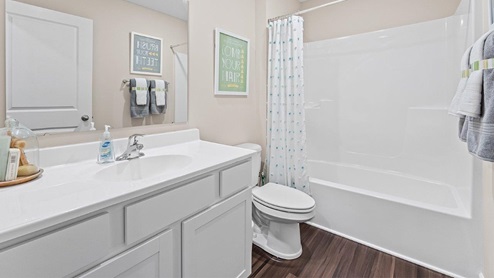 Trader's Trace Harmony Model Home bathroom with vanity sink and tub shower