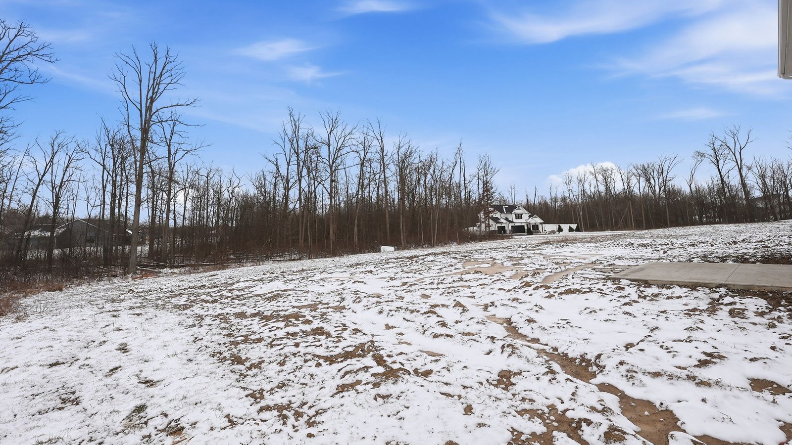 the haven bellamy rear exterior with patio, spacious backyard, and treelined yard