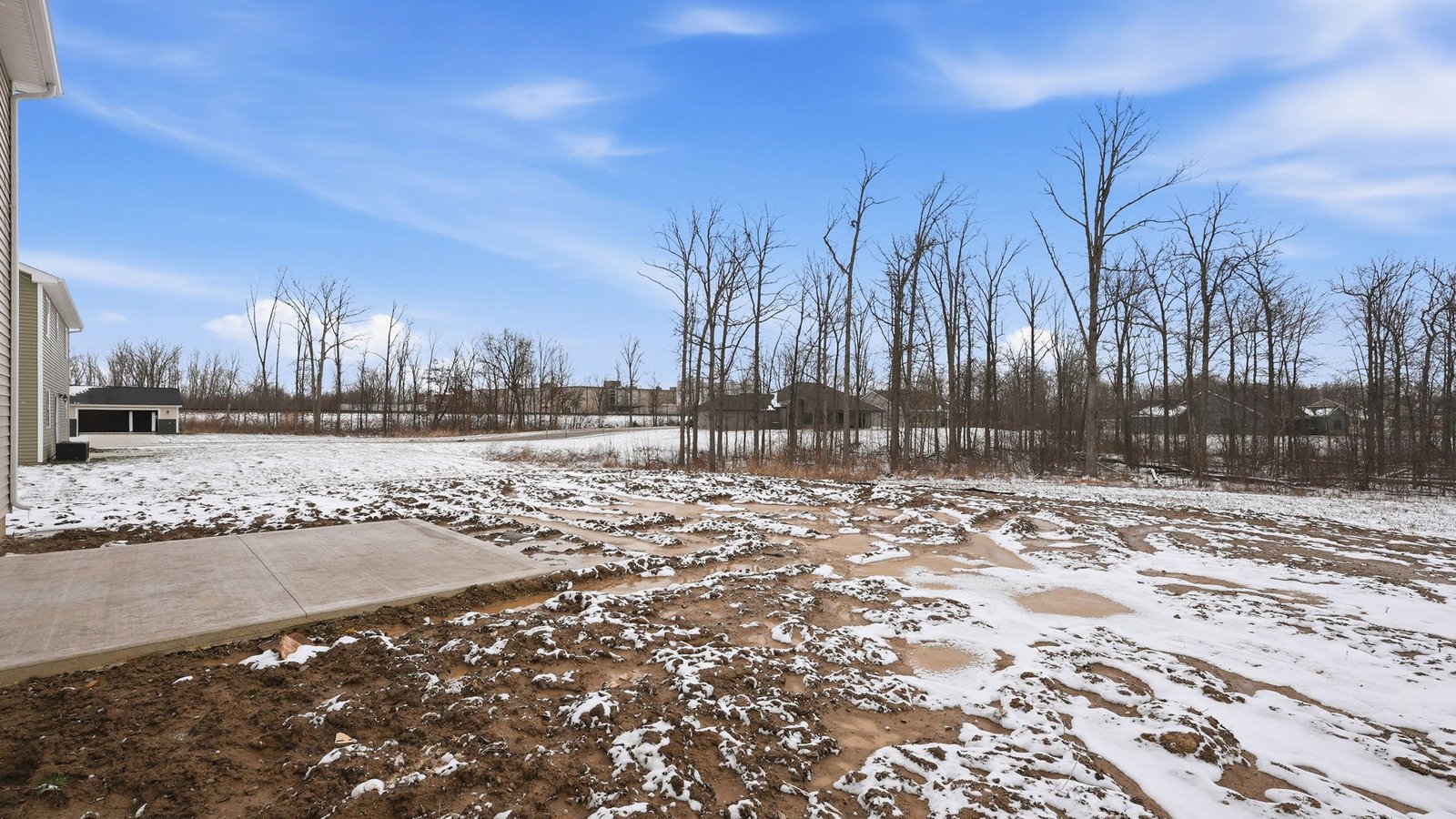 the haven bellamy rear exterior with patio, spacious backyard, and treelined yard