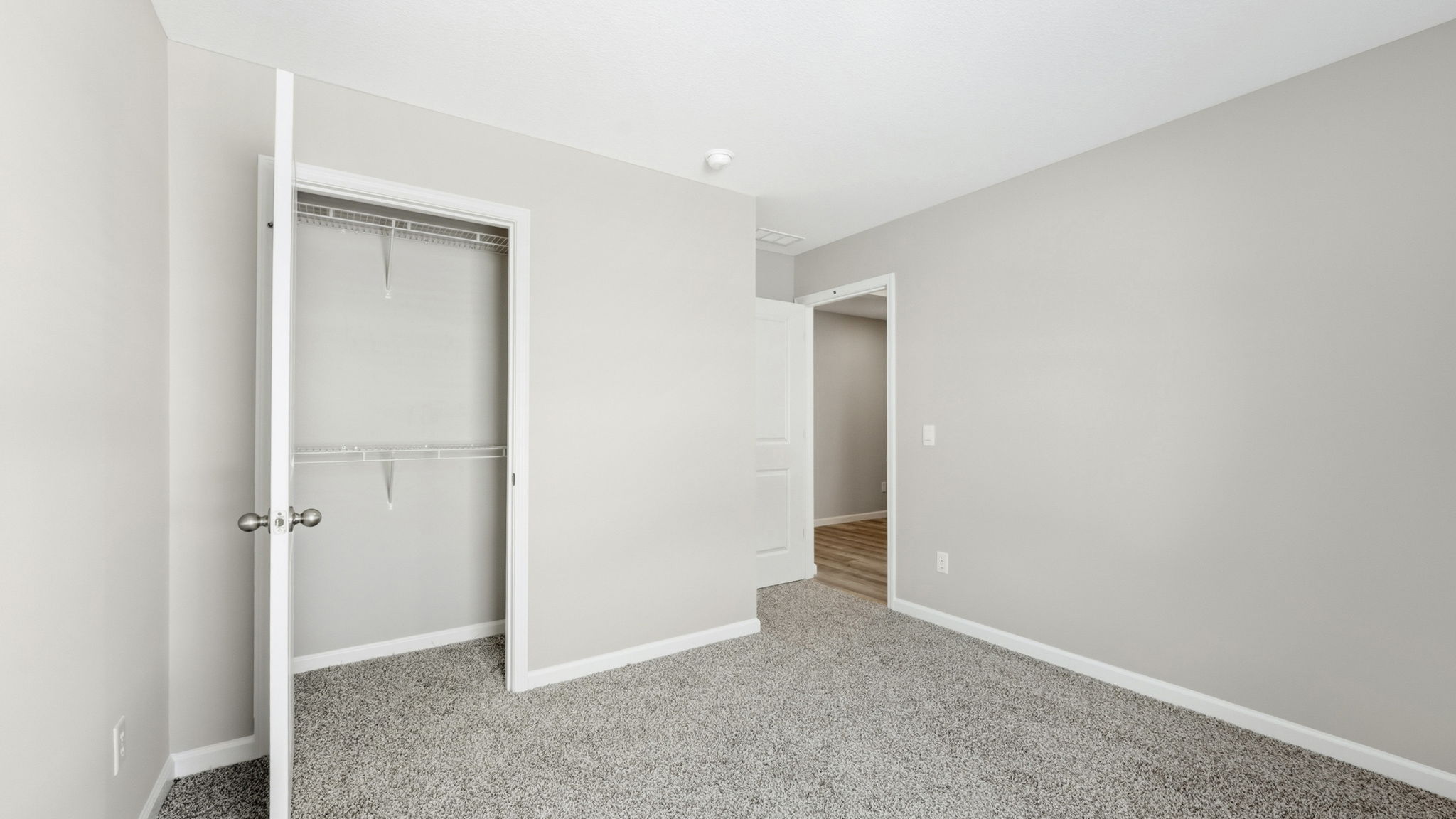 bedroom 3 with carpet, popular gray walls, and closet