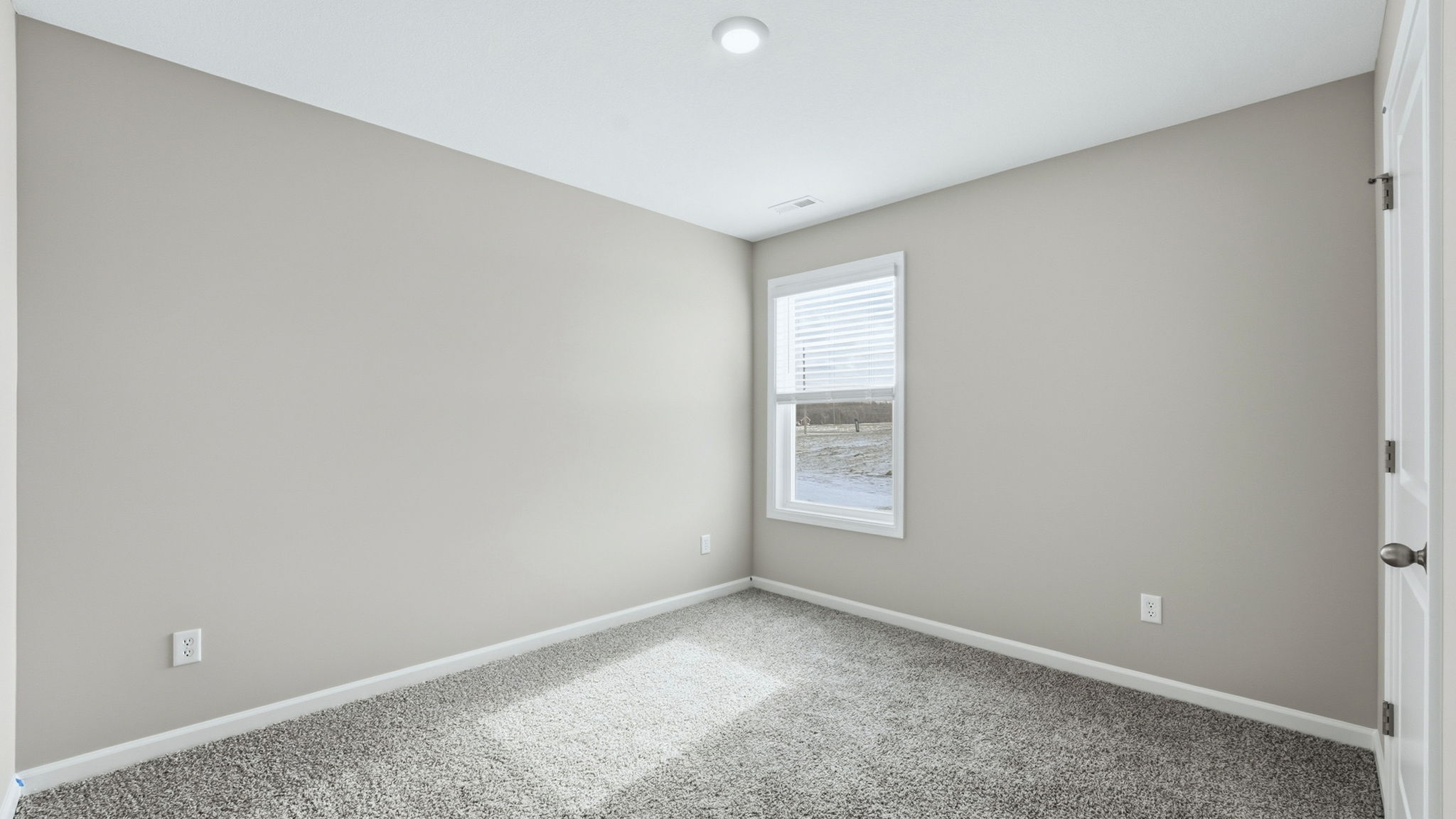 bedroom 4 with carpet, popular gray walls, and closet