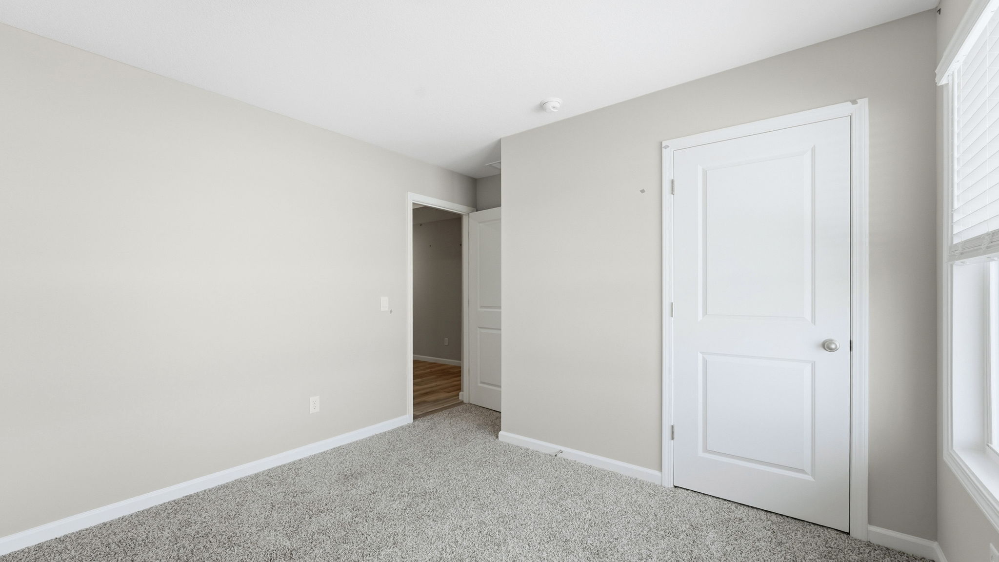 bedroom 2 with carpet flooring, popular gray walls, 2 windows, and closet