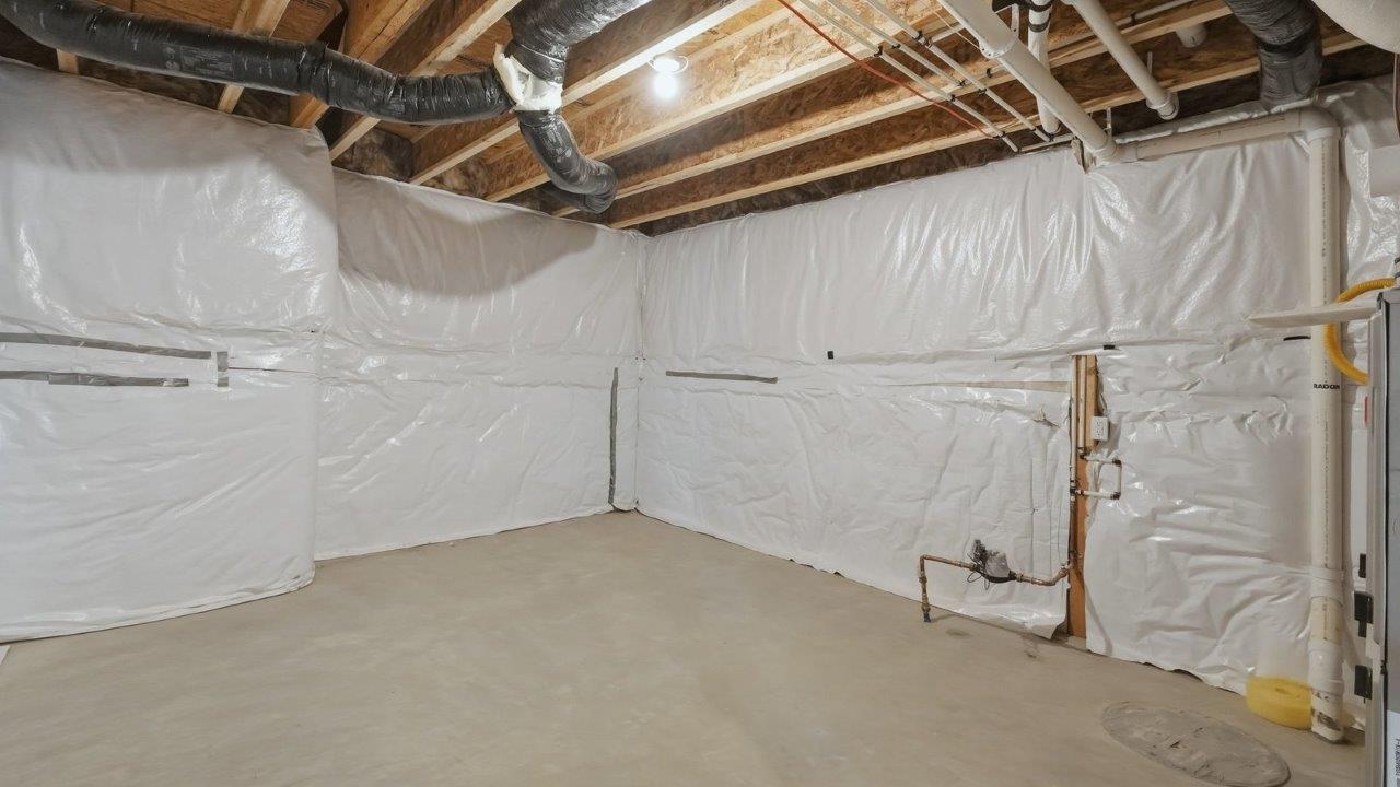 unfinished basement