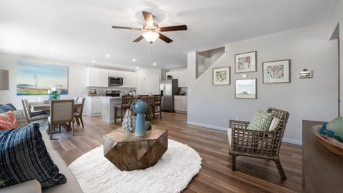 Farmstead at Carroll Creek Model living room overview