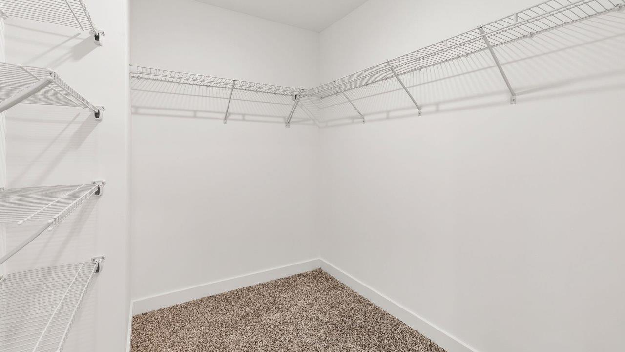 greenbrier cabral primary bedroom ensuite walkin closet with carpet flooring and shelving