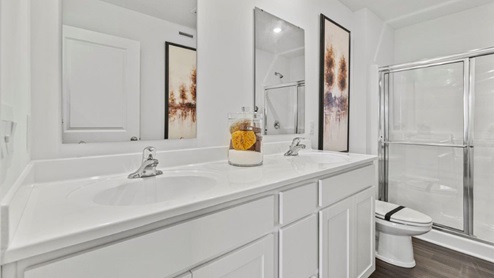 walk in bathroom with dual vanity sinks