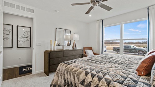 Riverwalk Aldridge model home - main bedroom with carpet flooring