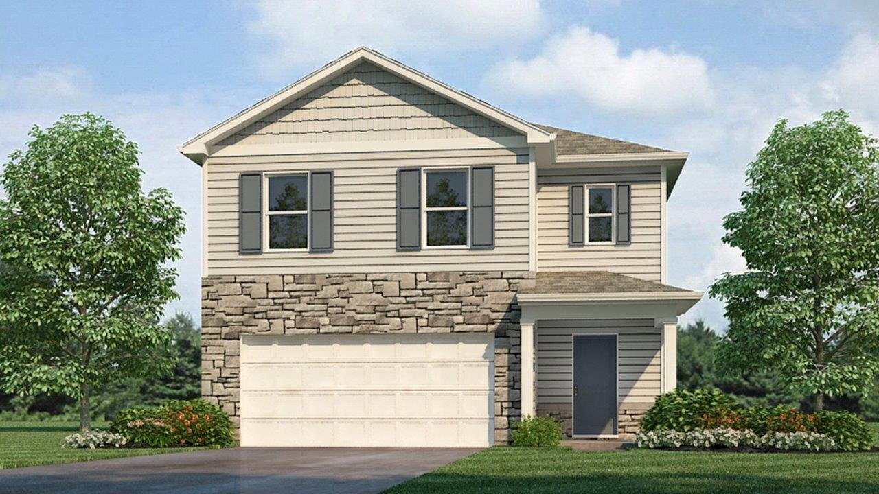 elm d3 elevation