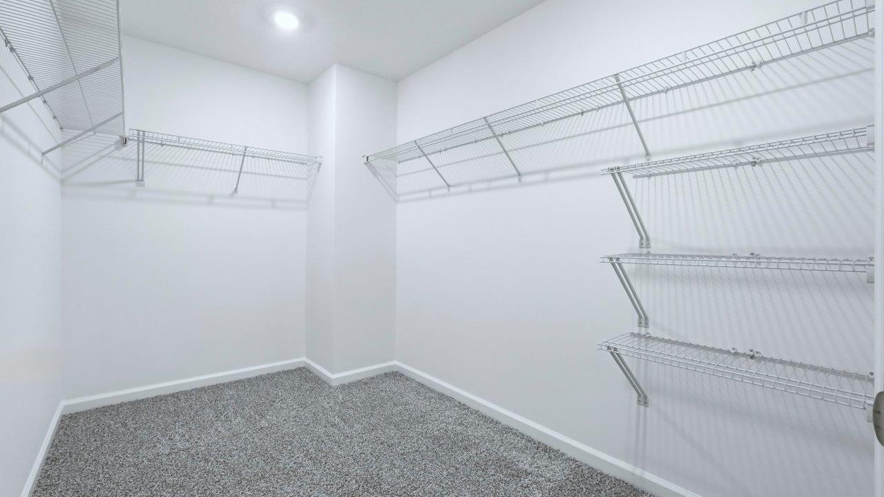 primary ensuite walk in closet with shelving
