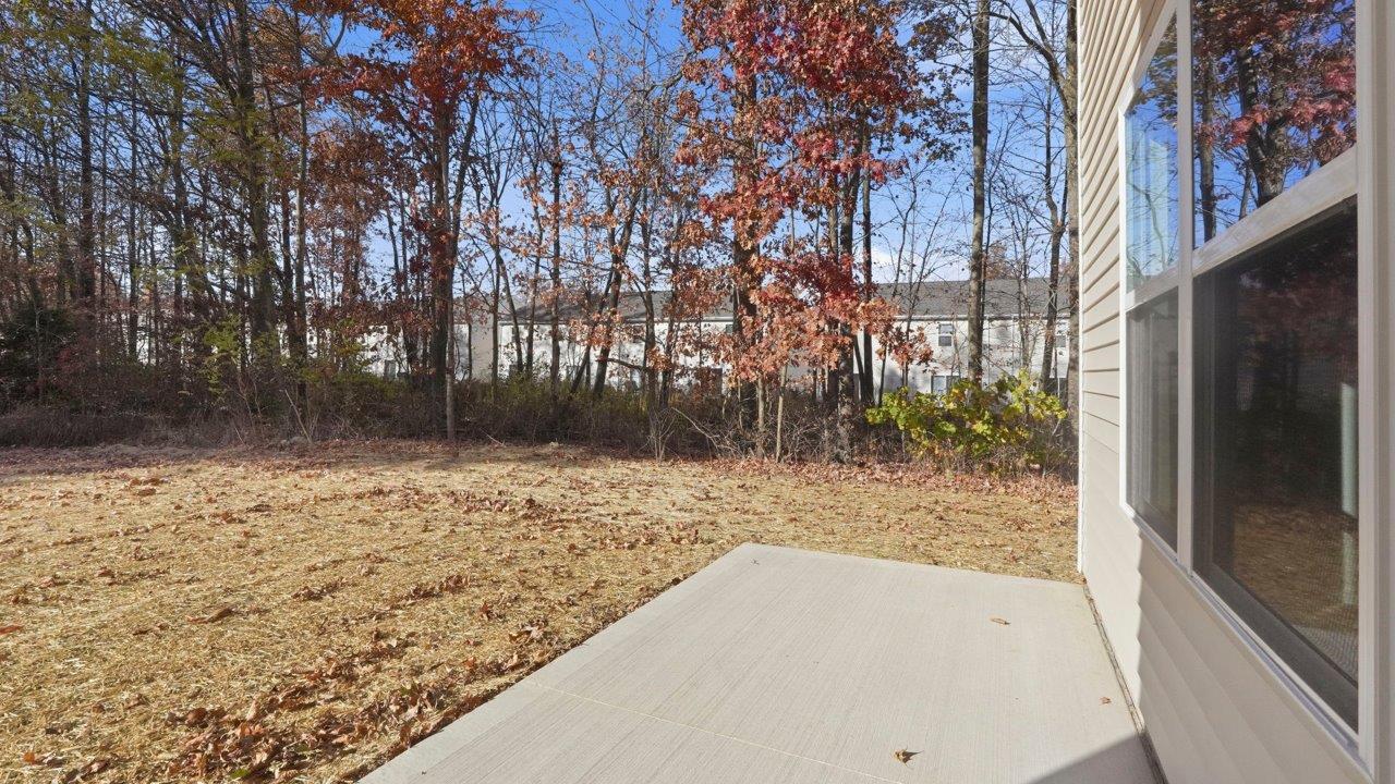 pine rear exterior with patio and tree lined backyard