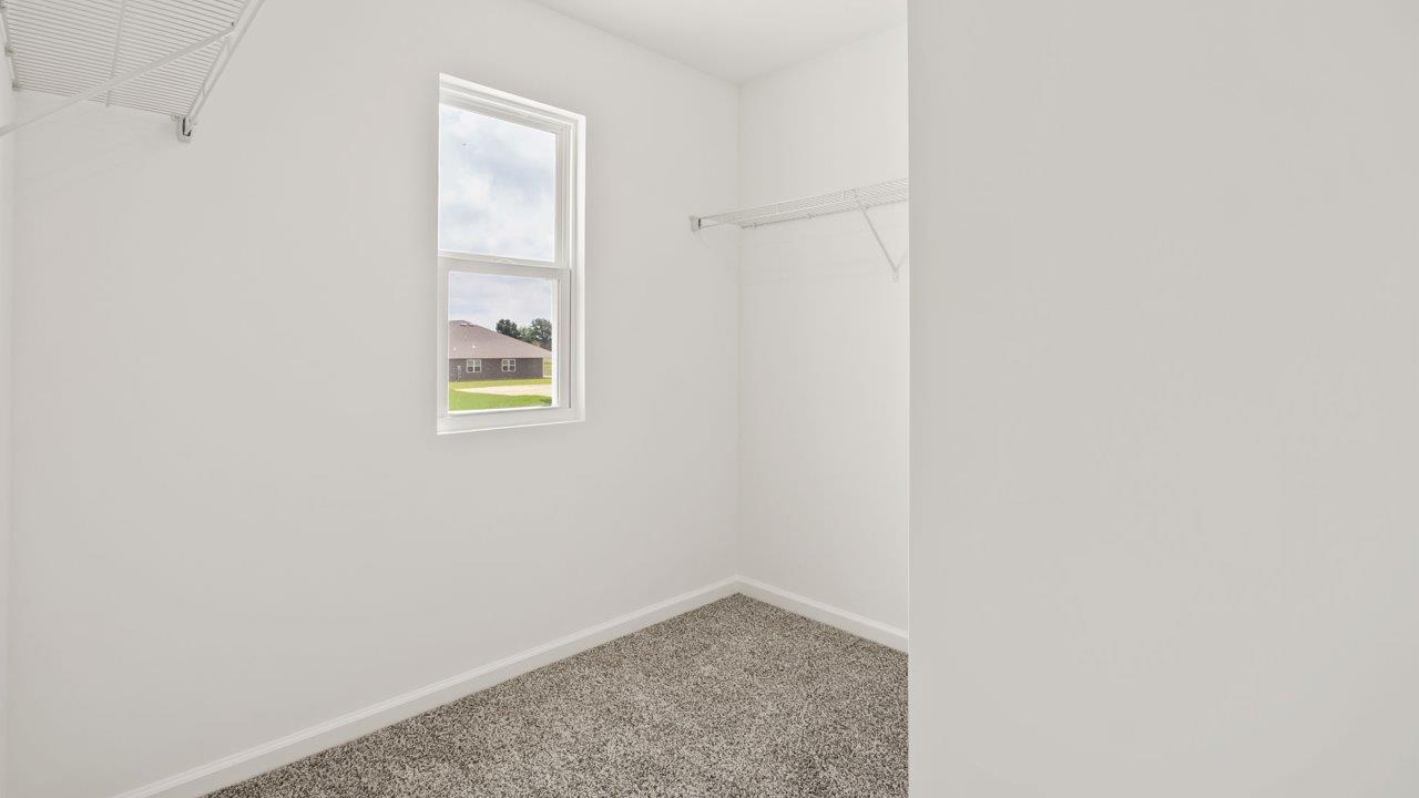 Kennebec Elm C3 - primary bedroom ensuite walk in closet with carpet flooring and shelving