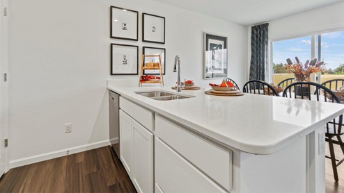 Riverwalk Villas Aldridge Model Home - Large Kitchen island with sink and dishwasher and quartz countertops.