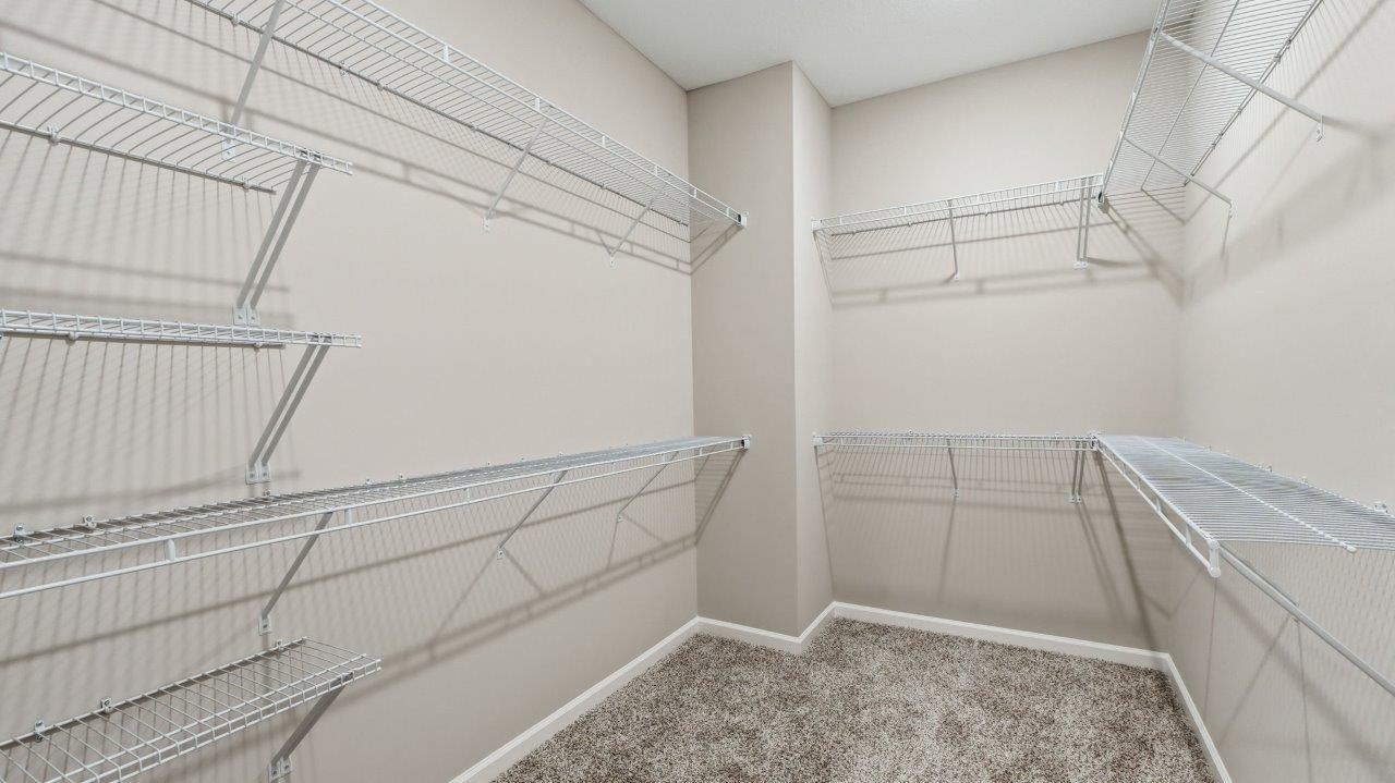 primary ensuite walk-in closet with built-in shelving