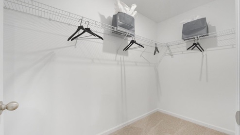 Grasslands at Broad Acres Bellamy Model main bed ensuite closet