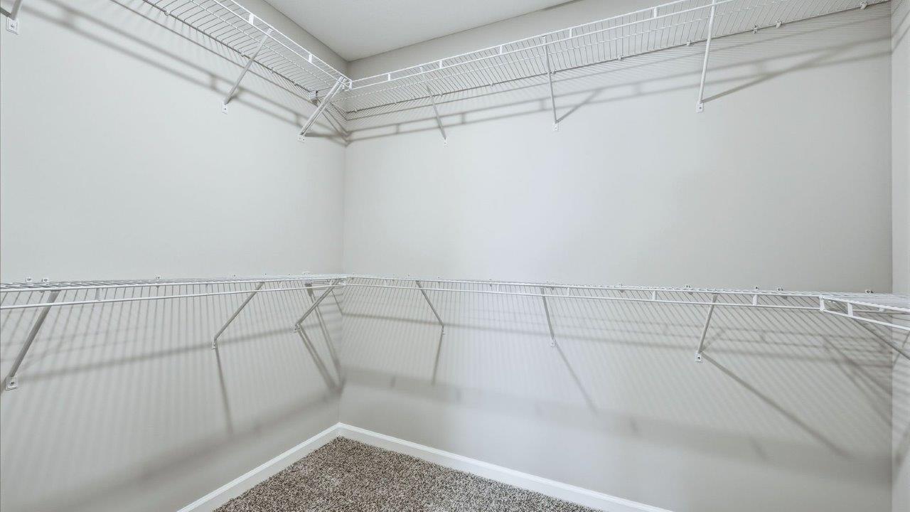 primary ensuite walk-in closet with beige carpet and built-in shelving