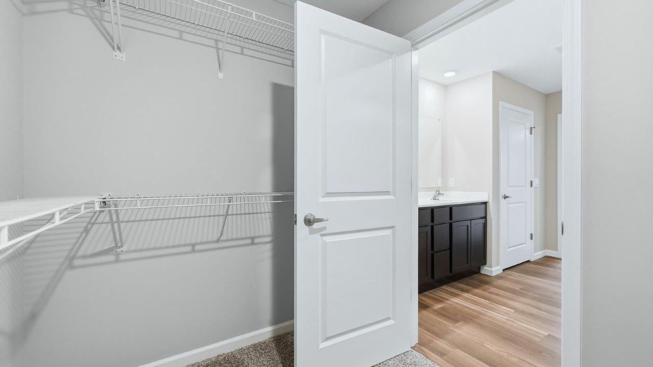 primary ensuite walk-in closet with beige carpet and built-in shelving