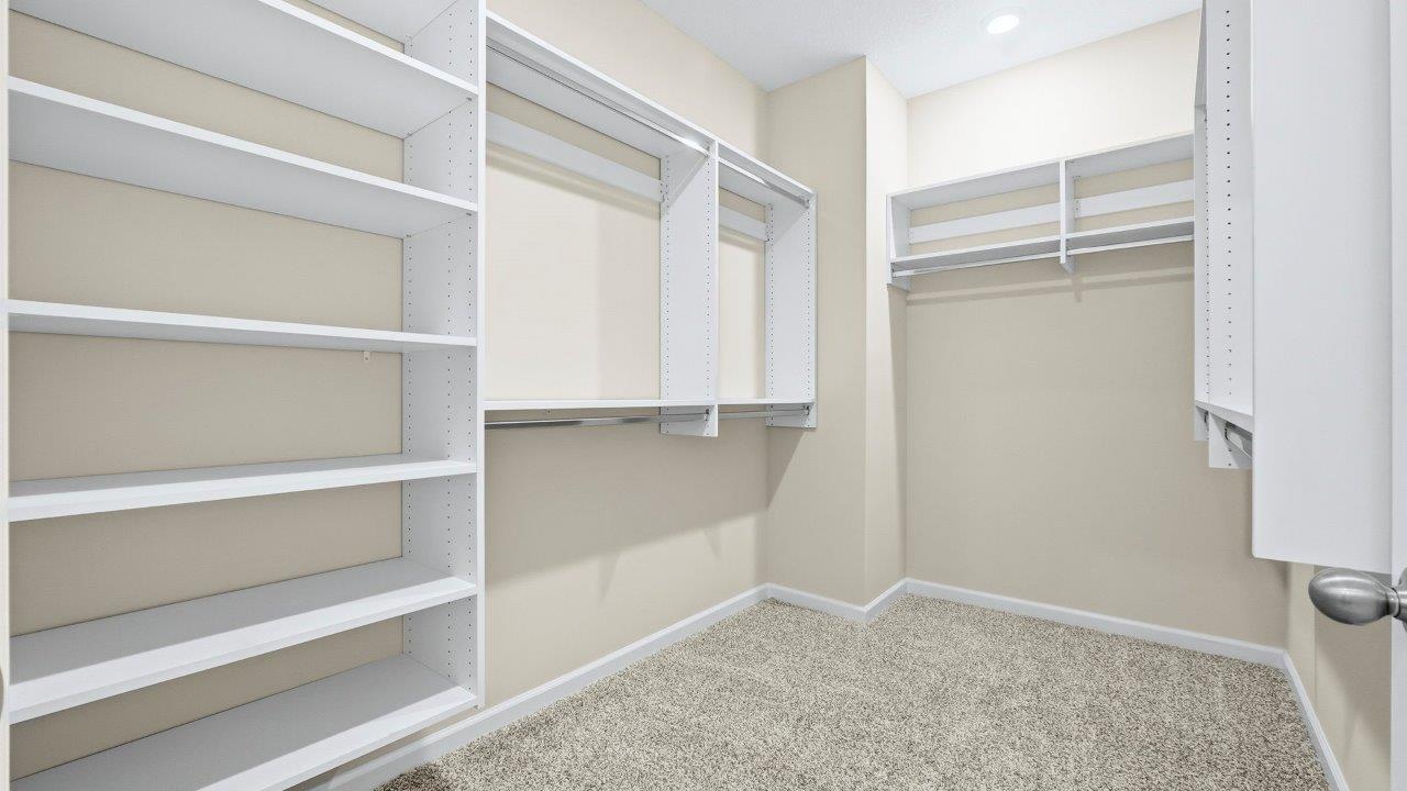 primary ensuite walk-in closet with built-in shelving and carpet flooring