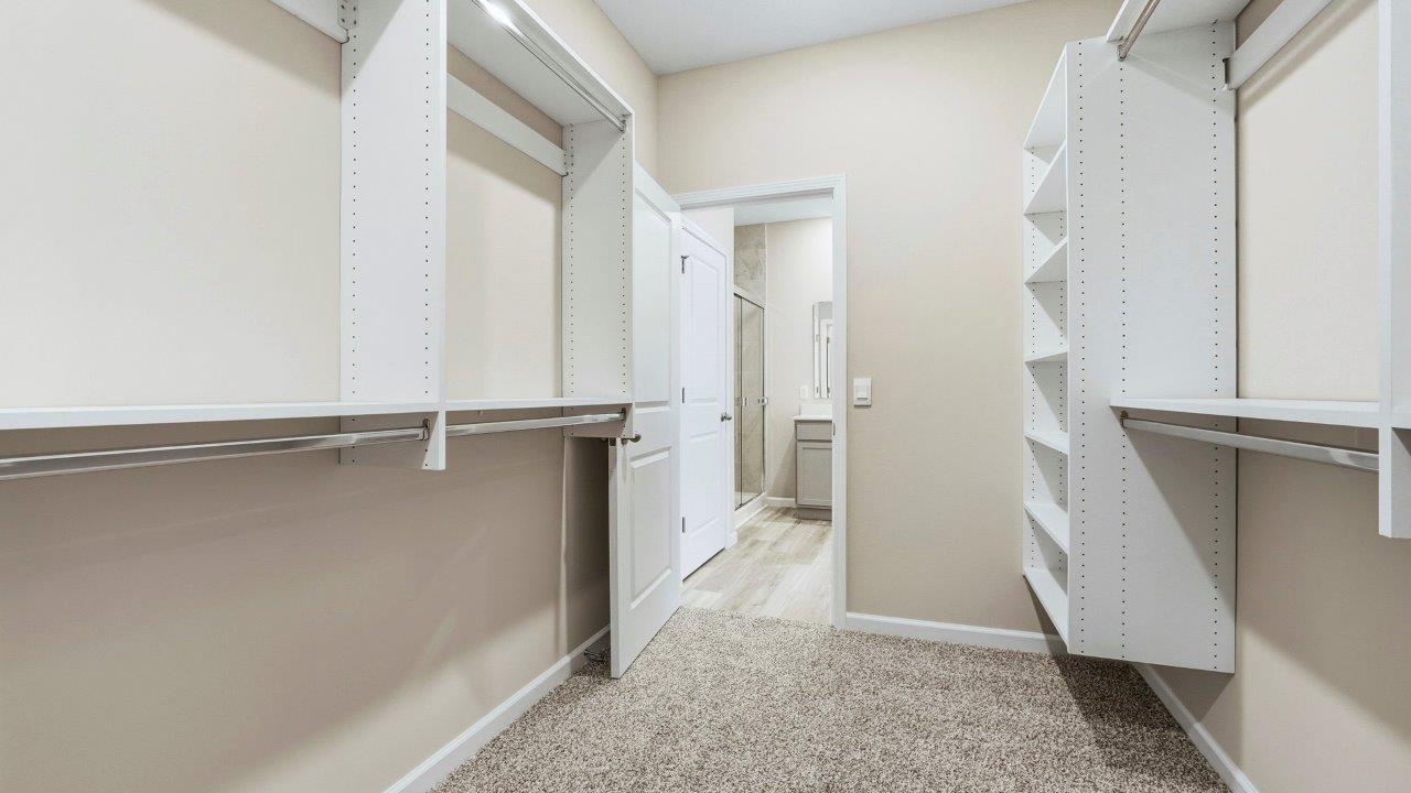 primary ensuite walk-in closet with built-in shelving and carpet flooring