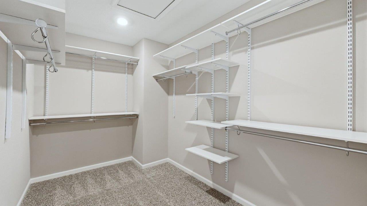primary ensuite walk-in closet with built-in shelving