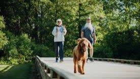 Defiance Ohio City Overview