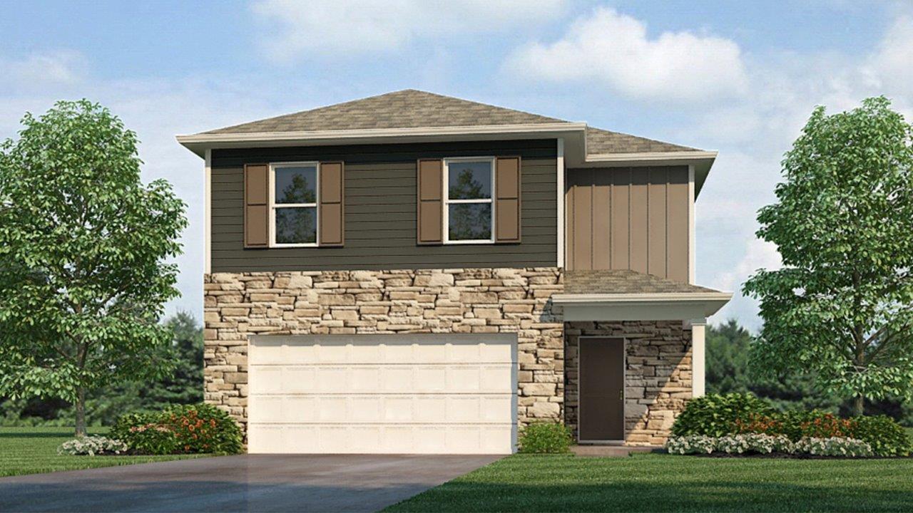 Pine C4 elevation