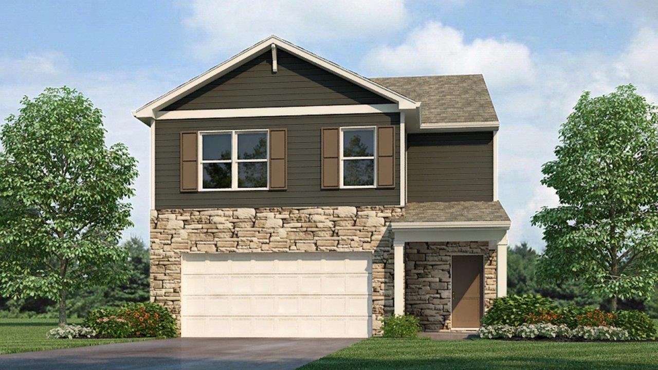 elder a4 elevation