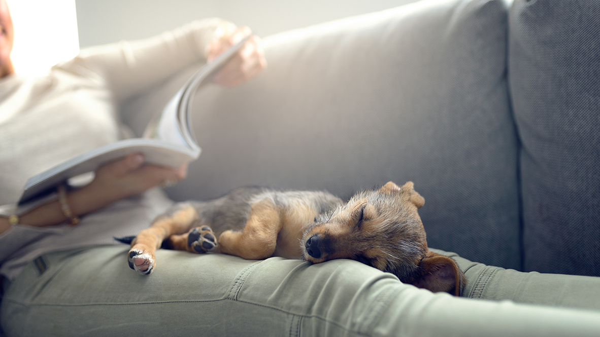 Fairfax_floorplan_Heritage_Farm_Amelia_OH_New_Home