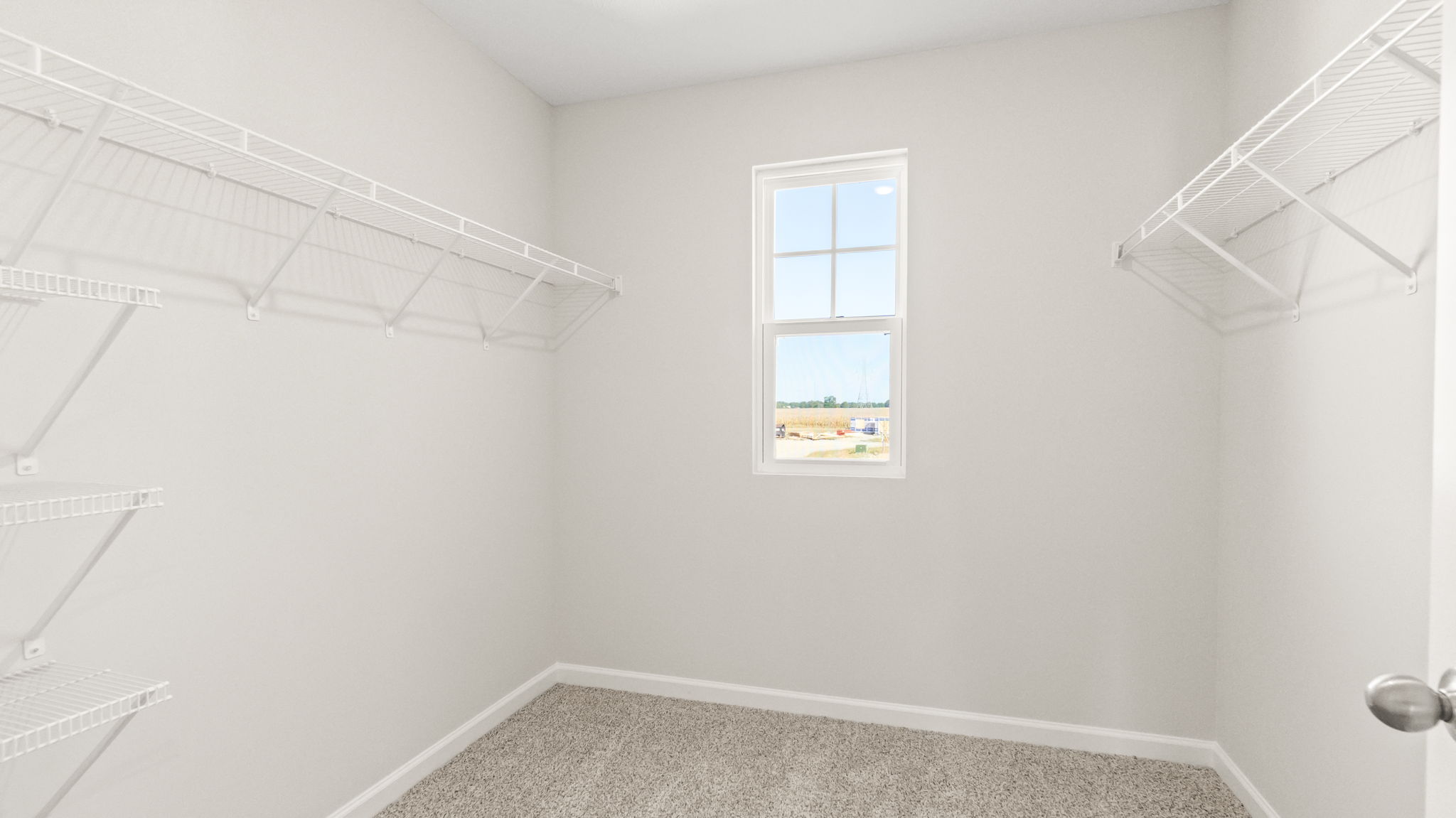 carpeted walk-in closet
