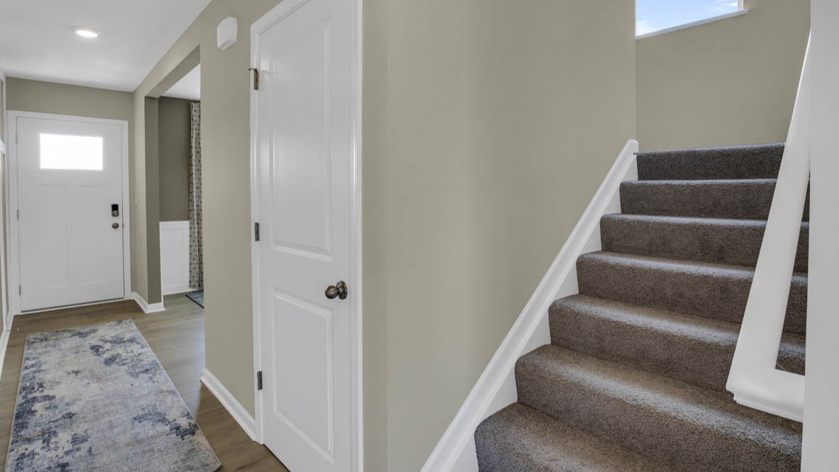 Brown carpeted stairs