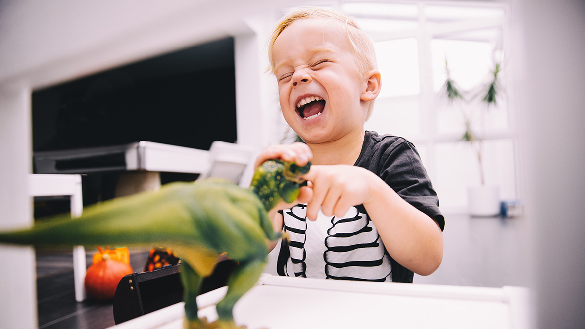 Newcastle_Floorplan_Drhorton_New_Homes_edenbridge_Xenia_OH