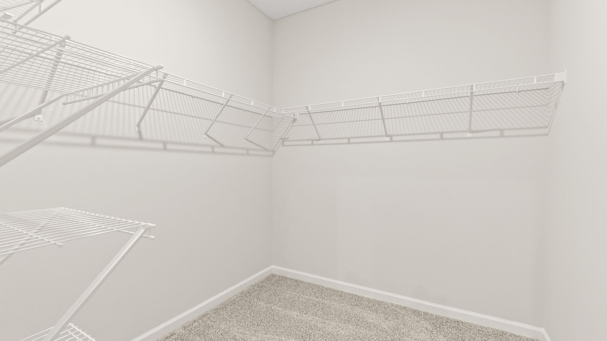 walk-in closet with wire rack shelving