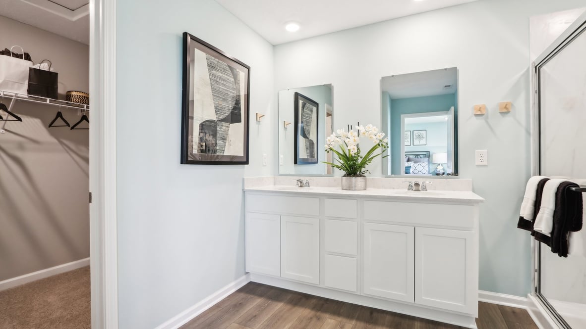 Primary bathroom with sink, vanity, mirror, and walk-in shower