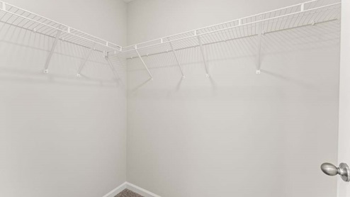 Large walk in closet with carpeted floors.