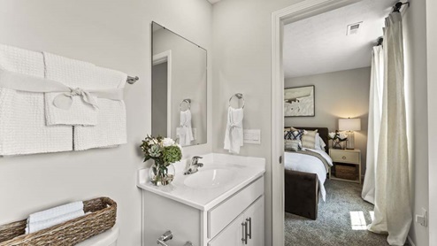 Bathroom with white cabinetry.