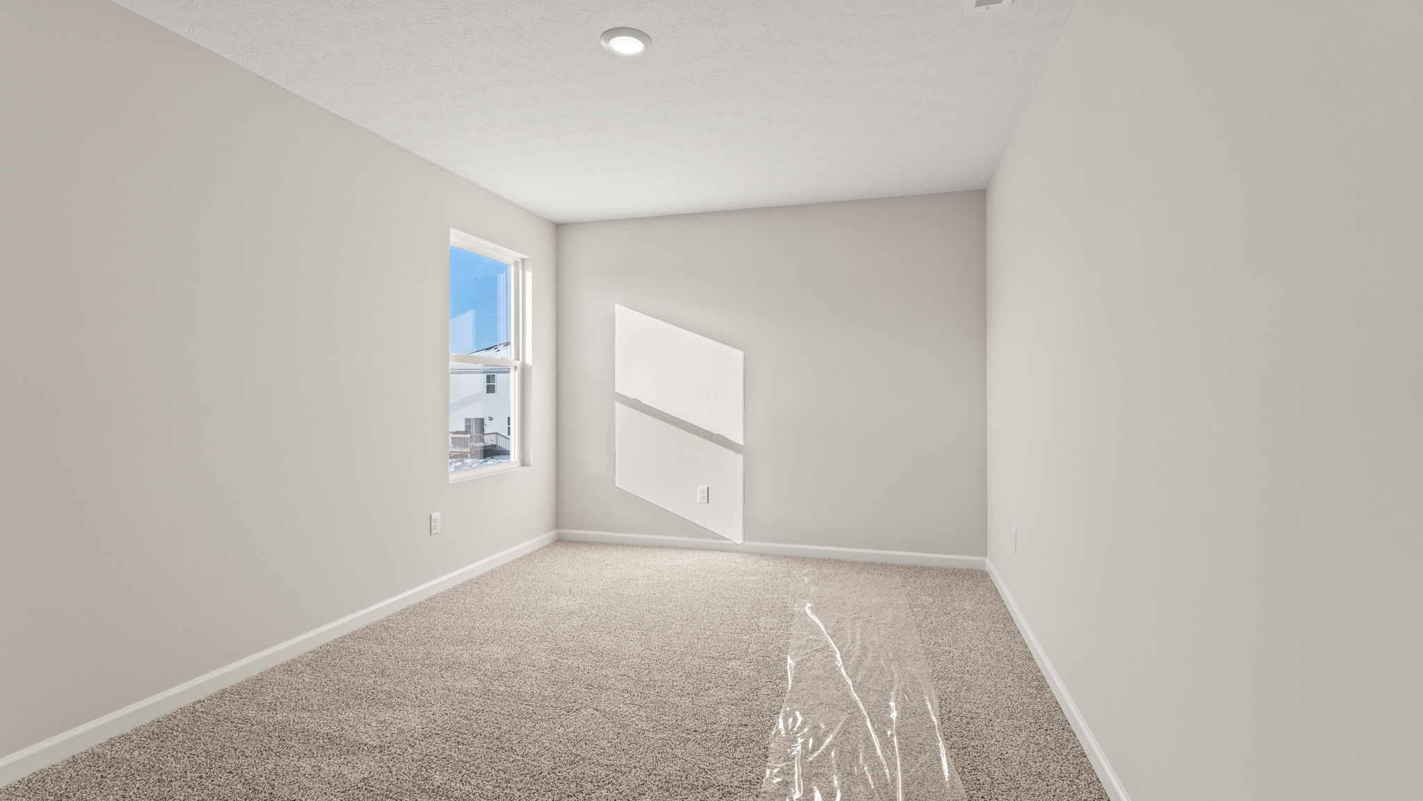 bedroom with carpet and window