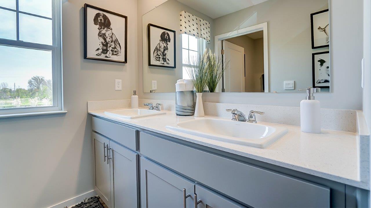 dual vanity sink in shared bathroom.