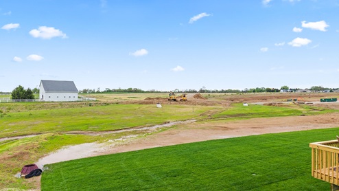 View of backyard from home.