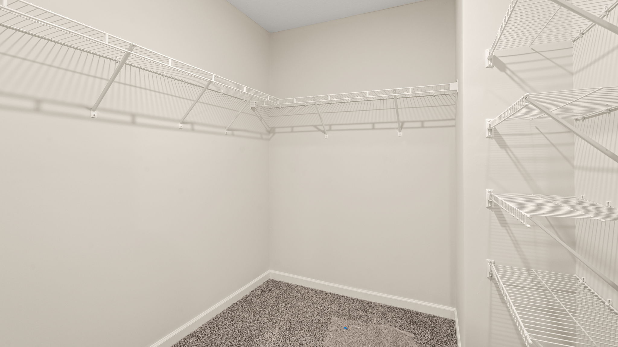Walk-in closet with wire rack shelving