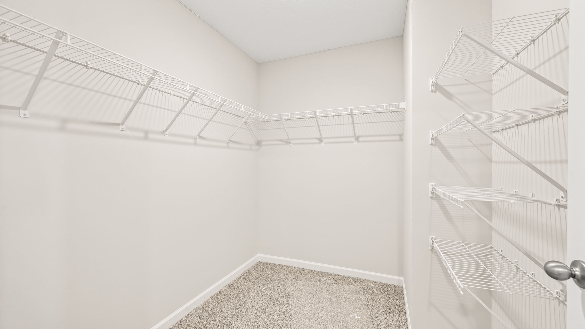 Walk-in closet with wire rack shelving