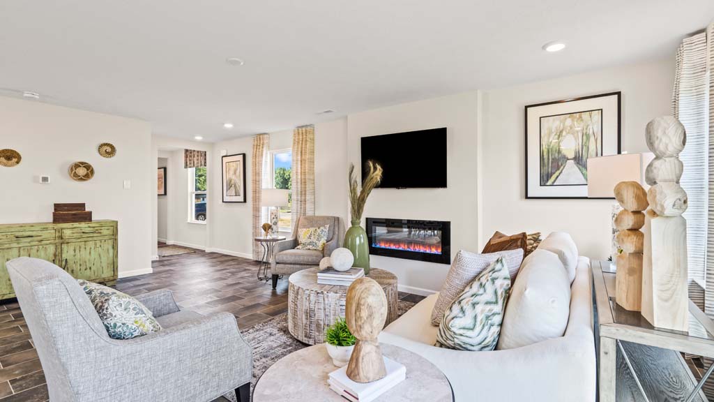 Living room with modern decorations and view from the front hall.