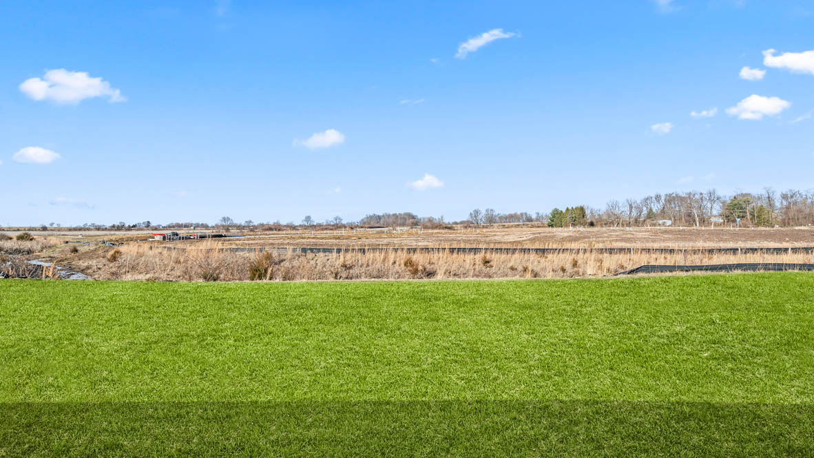 Backyard of home