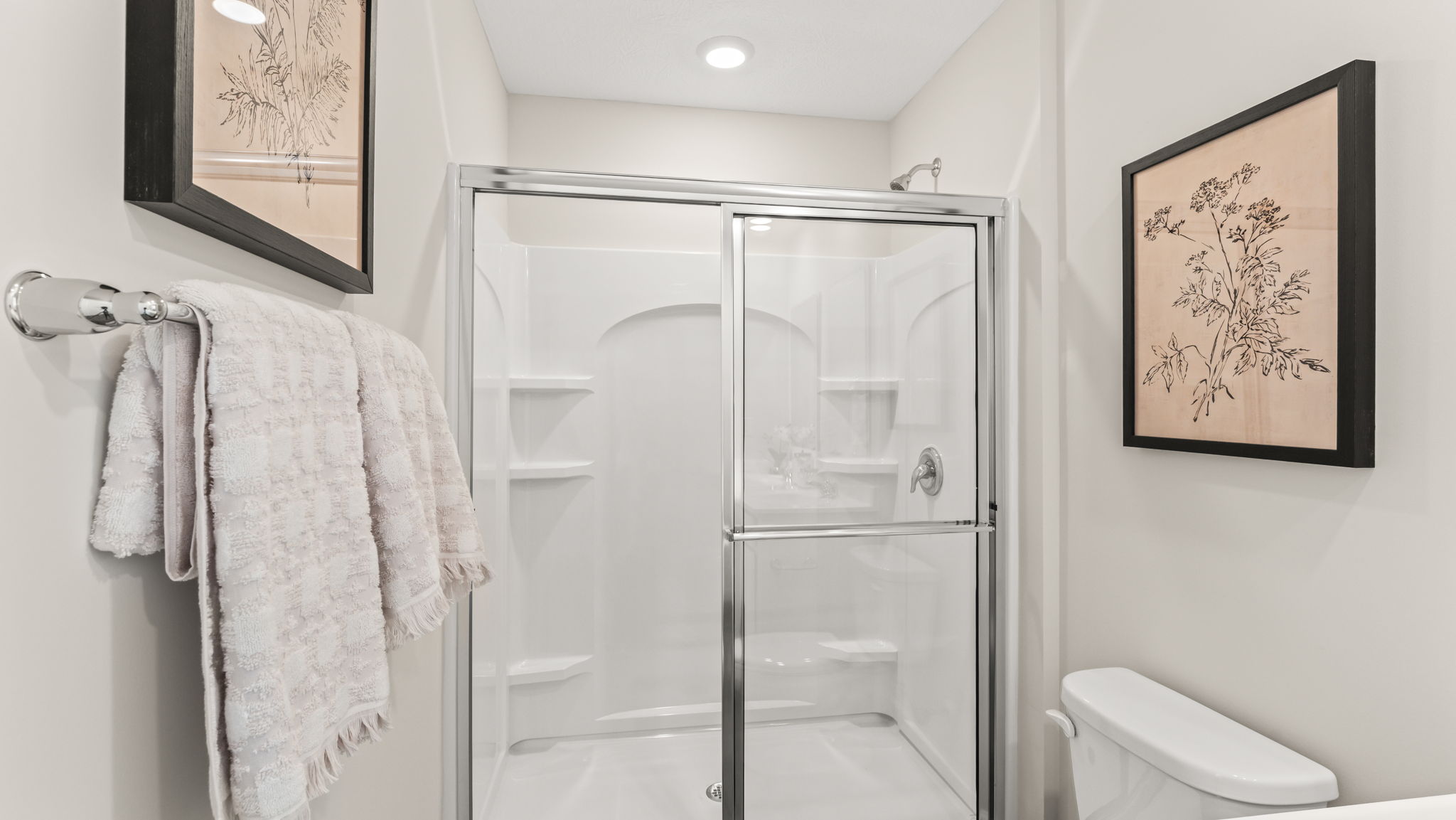 Walk-in shower with glass door and tiered shelving