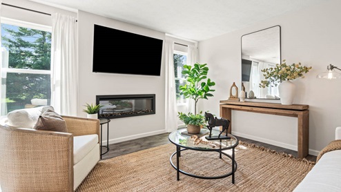 living room and coffee table
